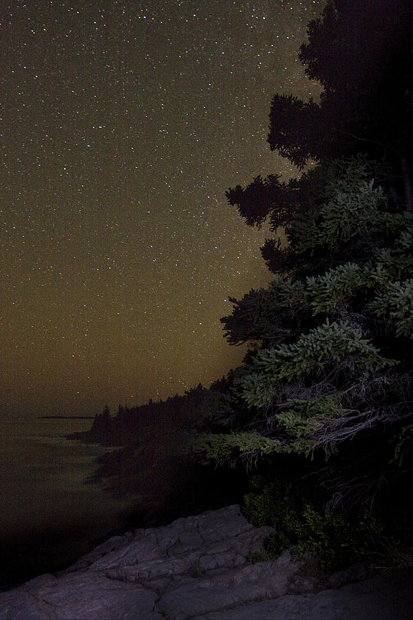 Acadia Stars 01 Photograph by Brent L Ander