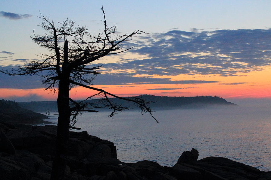 Acadia Sunrise 2 Photograph by Jeff Heimlich