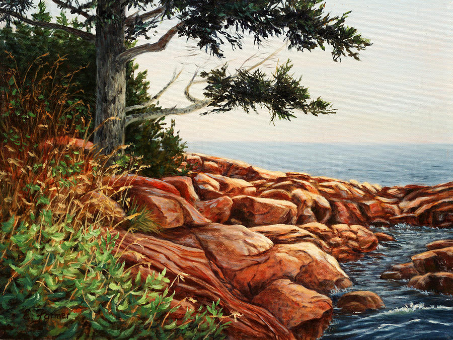 Acadia Tree, Maine Painting by Elaine Farmer
