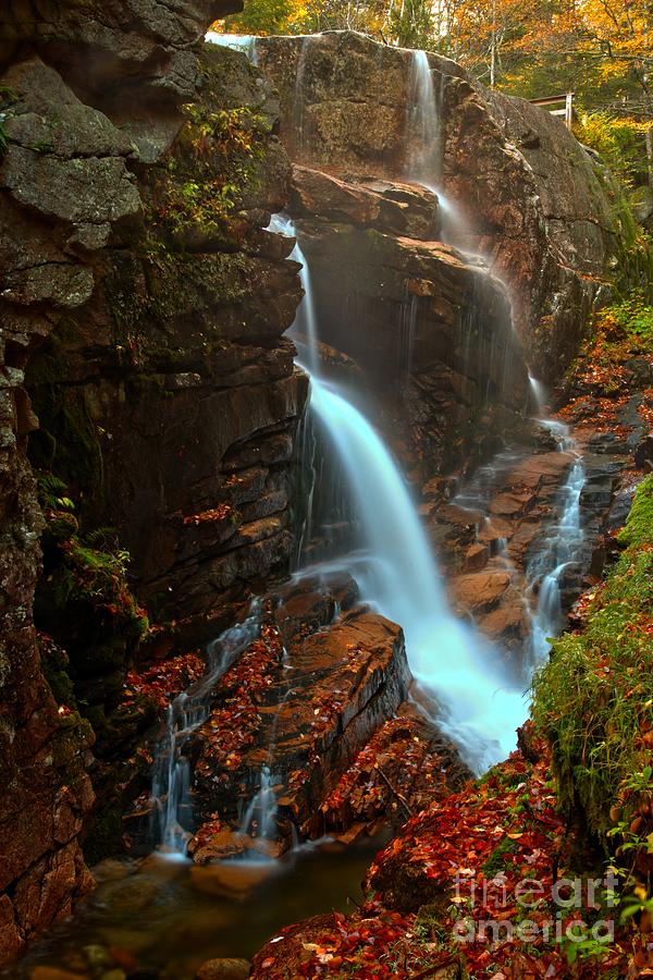 Avalanche Cascades - Franconia Notch New Hampshire Photograph by Adam Jewell