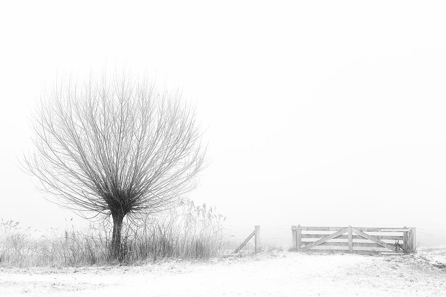Winter Photograph - Access To Fog by Greetje Van Son