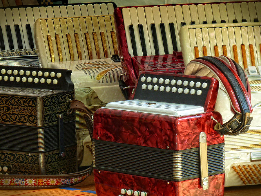 Accordions Photograph by Jessica Levant