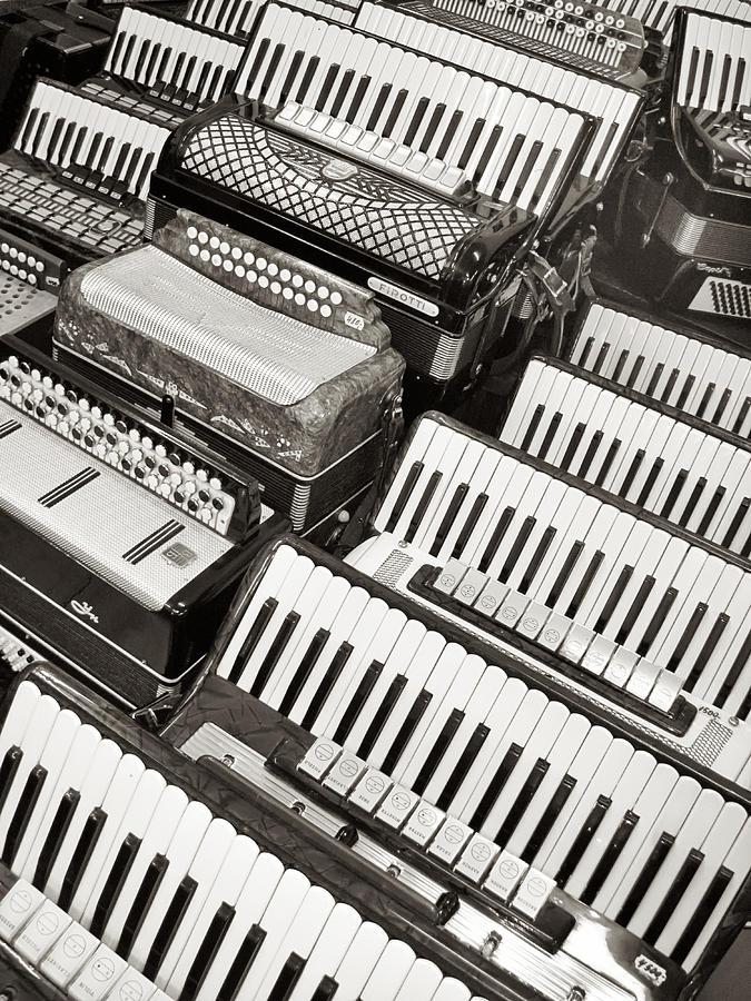 Accordions Photograph by Mary Lee Dereske