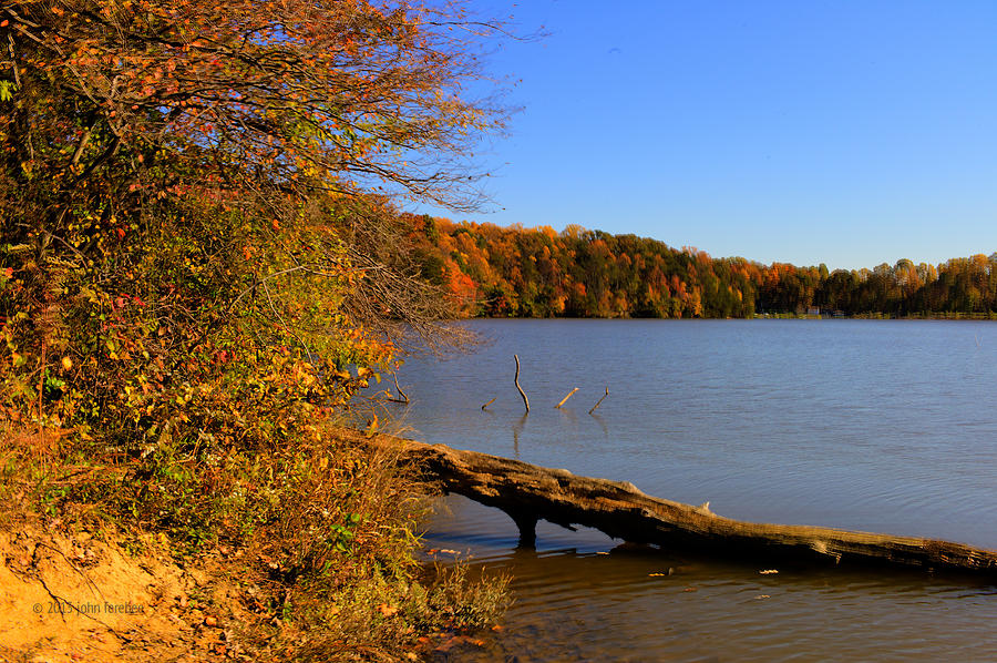 Accotink Lake Pyrography by John Ferebee | Fine Art America