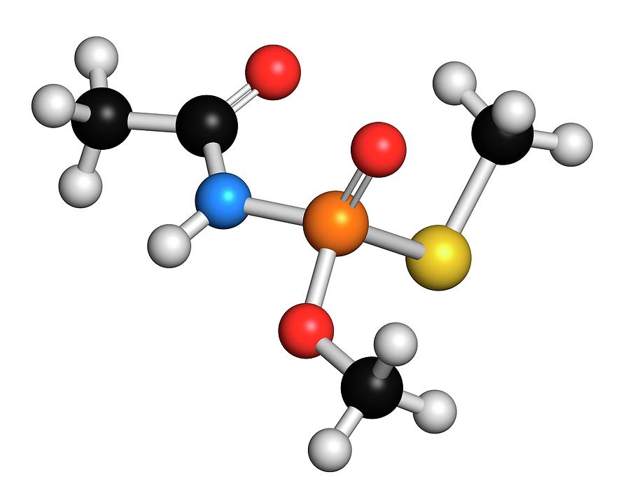 Acephate powder