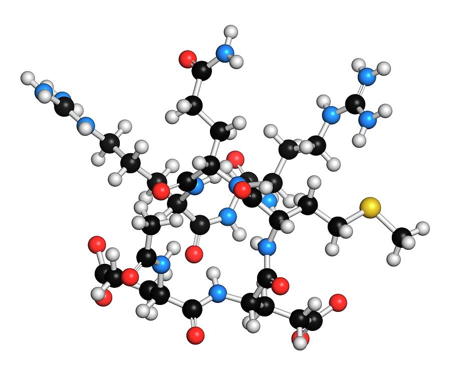 Acetyl Hexapeptide-3 Molecule Photograph by Molekuul