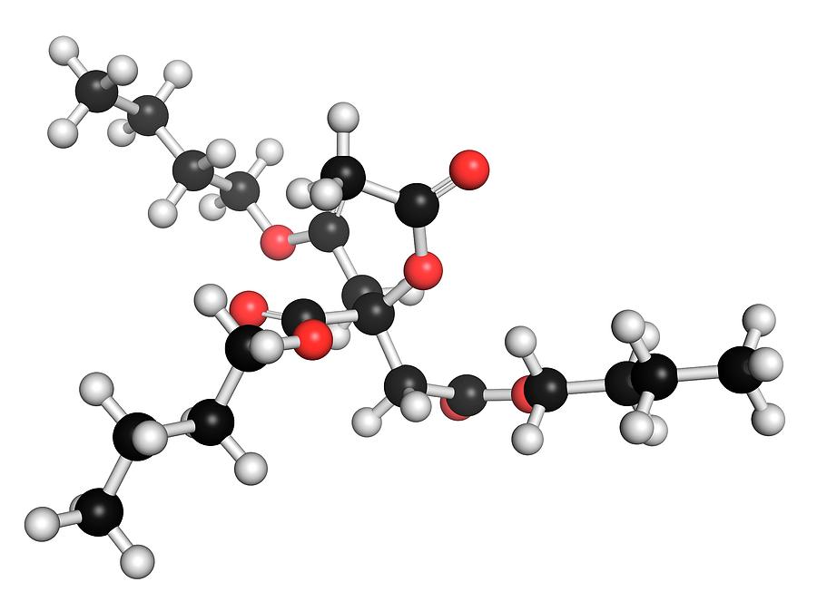 Acetyl Tributyl Citrate Plastic Molecule Photograph by Molekuul