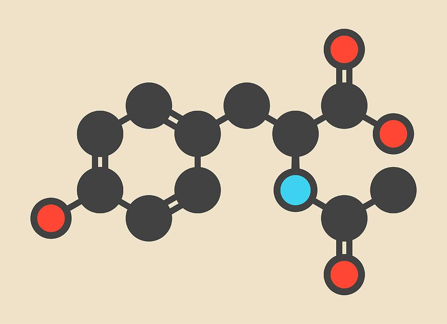Acetyl Photograph - Acetylated Molecule by Molekuul Acetyl Photograph - Acetylated Molecule by Molekuul