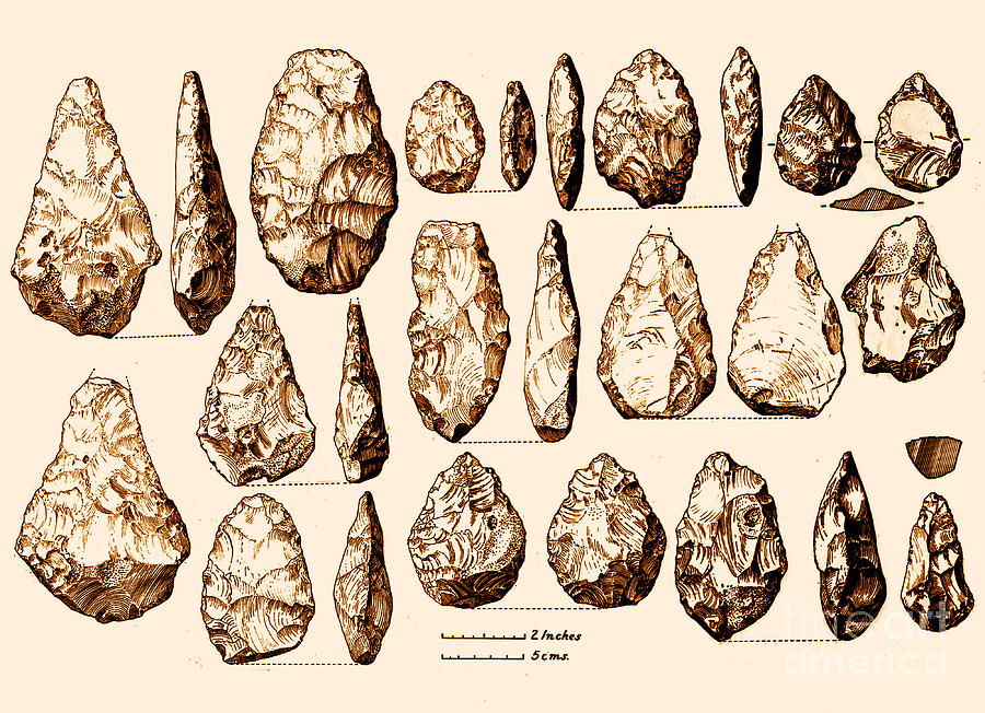 Acheulean Hand-axes, Lower Paleolithic Photograph by Science Source