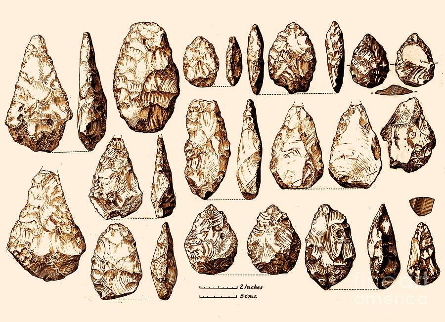 Lower Paleolithic Tools 7 Types Of Tools Used During Middle   Acheulean Hand Axes Lower Paleolithic Science Source 