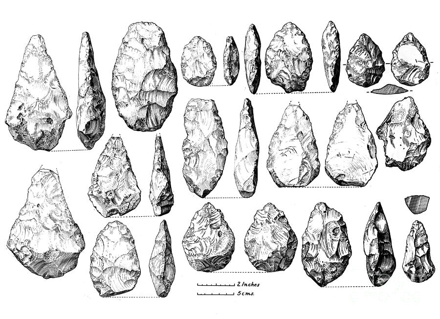 Acheulean Hand-axes, Lower Paleolithic Photograph by Wellcome Images