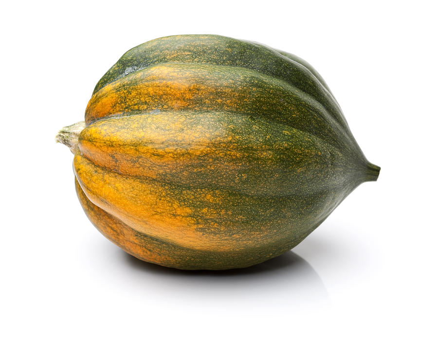 Acorn Squash Isolated on White Photograph by Duckycards