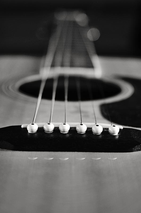 Acoustic Guitar Photograph by Terry DeLuco