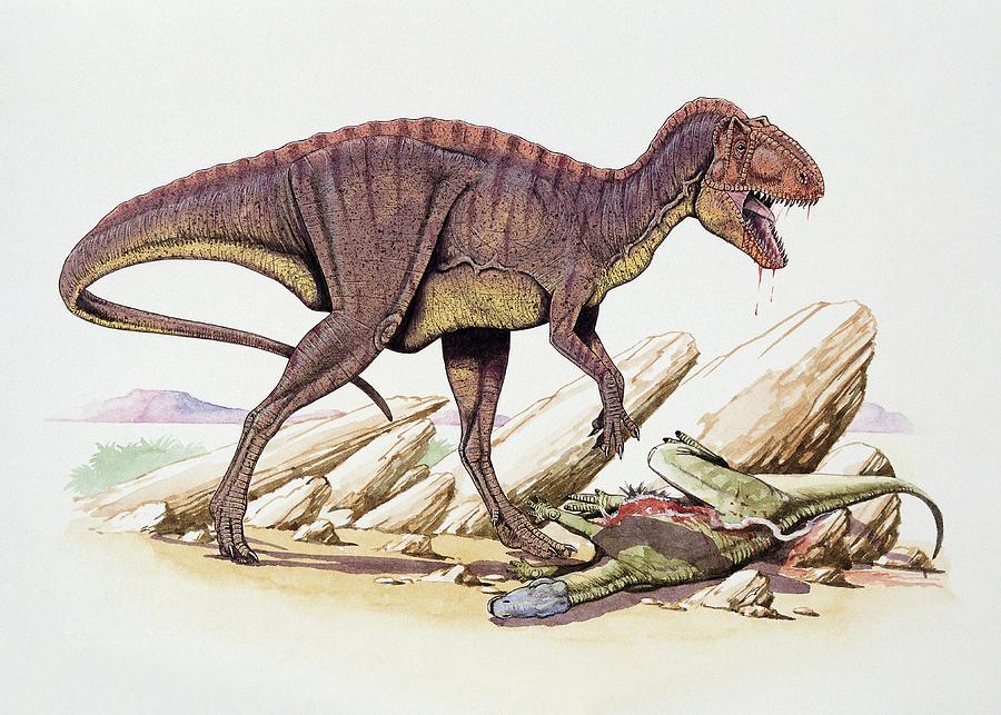 Acrocanthosaurus Dinosaur Photograph by Deagostini/uig/science Photo Library