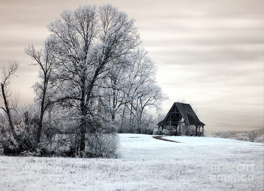 Landscape Photograph - Across the Field by Claudia Kuhn