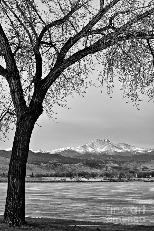 Across The Lake in Black and White Photograph by James BO Insogna