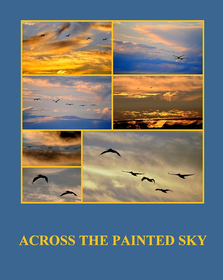 Across the Painted Sky Photograph by AJ  Schibig