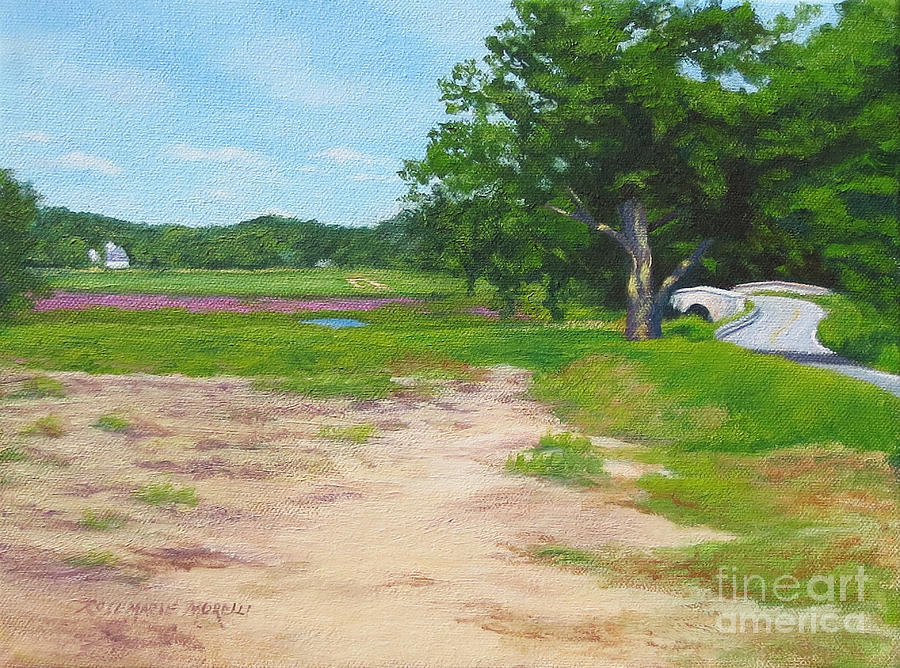 Across The Sudbury River Concord Massachusetts Painting by Rosemarie ...