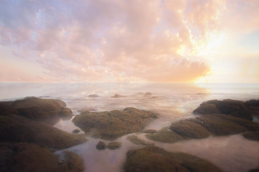 Sunrise Photograph - Across the Tranquil Sea by Sheri Vitullo