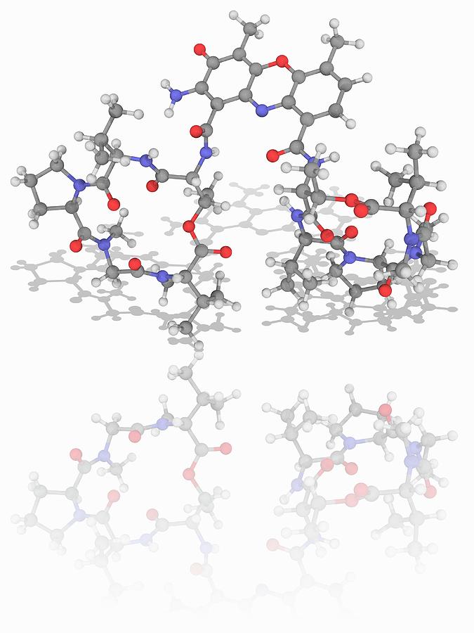 Actinomycin D (dactinomycin) Drug Molecule Photograph by Laguna Design ...