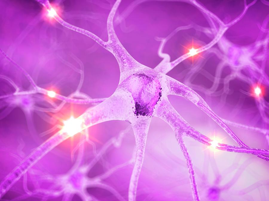 Active Nerve Cells Photograph by Sciepro/science Photo Library