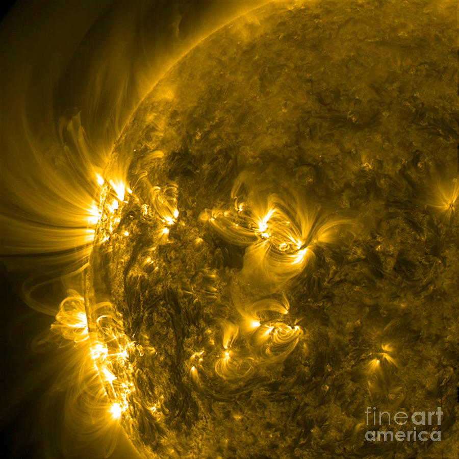Active Regions Of The Sun Photograph by Science Source