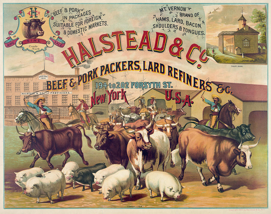 Ad Meatpacking, 1886 Drawing by Granger - Pixels