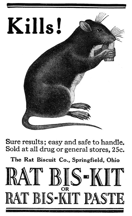 Ad Rat Poison, 1922 Painting by Granger