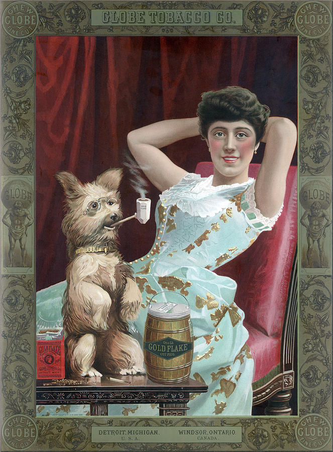 Ad Tobacco, C1885 Drawing by Granger