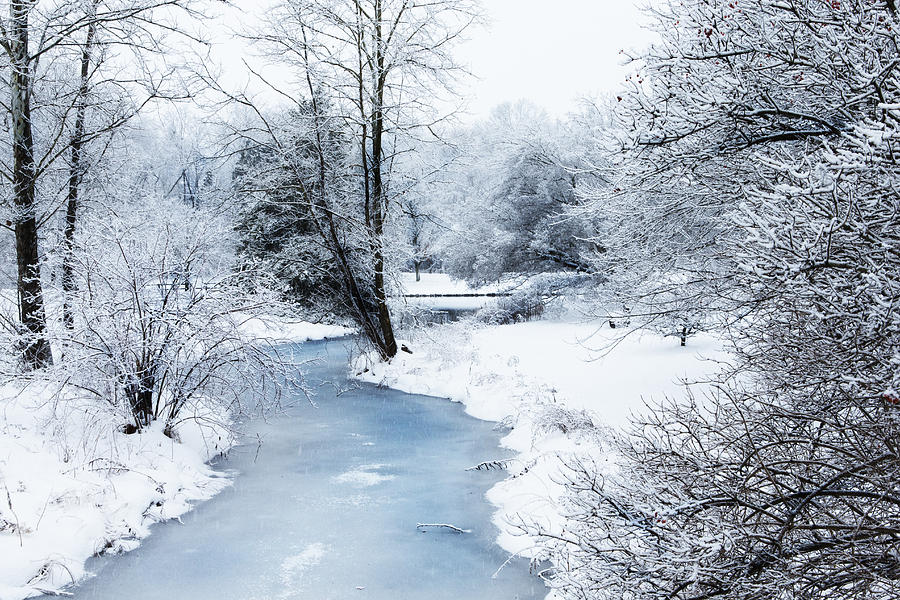Ada Park Winter Photograph by Evie Carrier