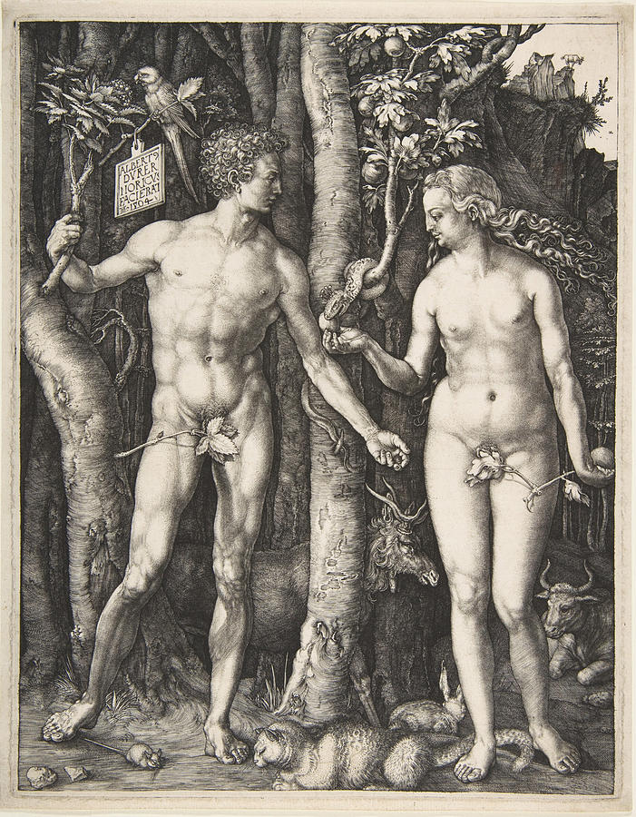 Adam and Eve Drawing by Albrecht Duerer