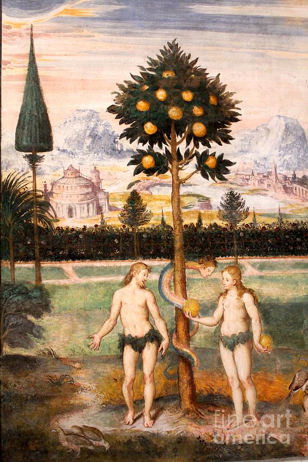 Adam and Eve Photograph by David Grant