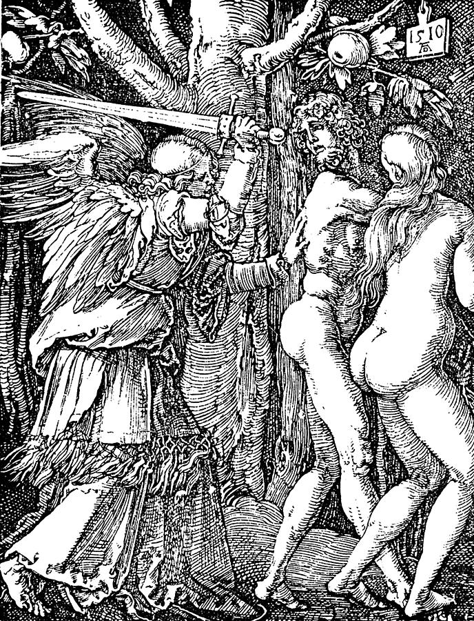Albrecht Durer Drawing - Adam and Eve Etching by Albrecht Durer by    