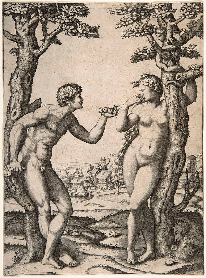 Adam and Eve Drawing by Marcantonio Raimondi