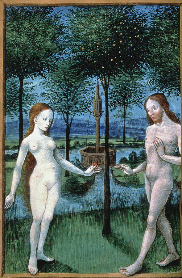Adam And Eve (the Fall Of Man) Ms Painting by Granger
