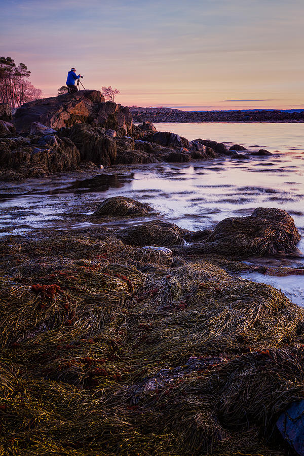 Rye New Hampshire Photograph - Adam On The Rocks by Jeff Sinon