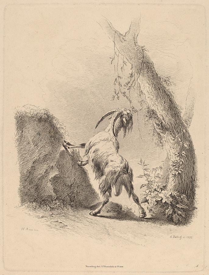 Adam von Bartsch Goat in a Landscape 1805 Painting by MotionAge Designs