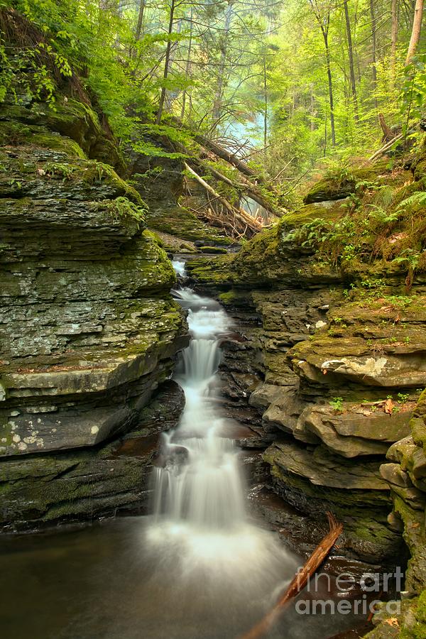 Adams Creek Falls Photograph by Adam Jewell