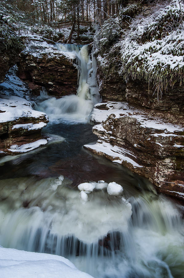 Adams Fall Vertical Photograph by David Bogard - Fine Art America