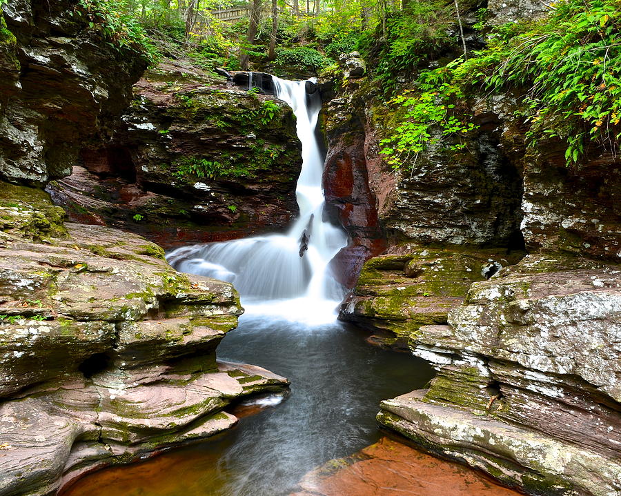 Adams Falls Ricketts Glen PA Photograph by Frozen in Time Fine Art Photography