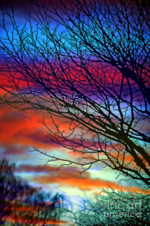 Adding Color to My Sunset Sky Photograph by Gwyn Newcombe