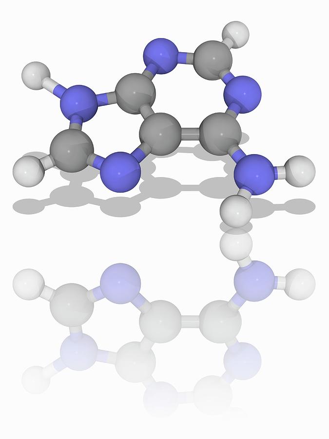 Adenine Photograph - Adenine Organic Compound Molecule by Laguna Design/science Photo Library