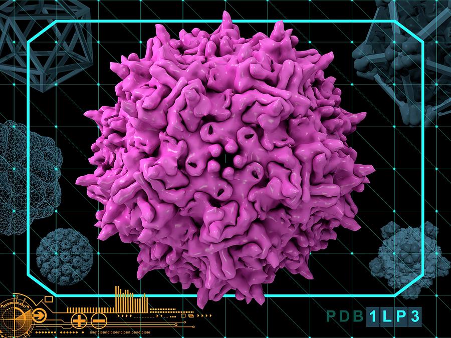 Adeno-associated Virus 2 Capsid Photograph by Laguna Design/science Photo Library
