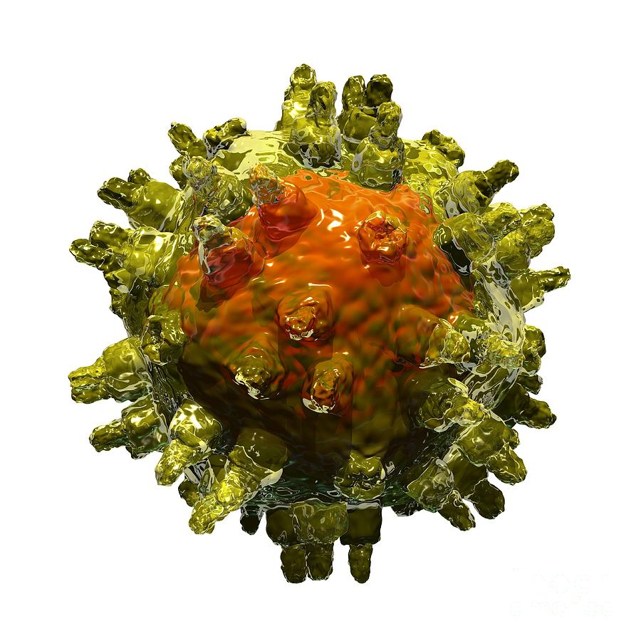 Adeno-associated Virus Photograph by Russell Kightley