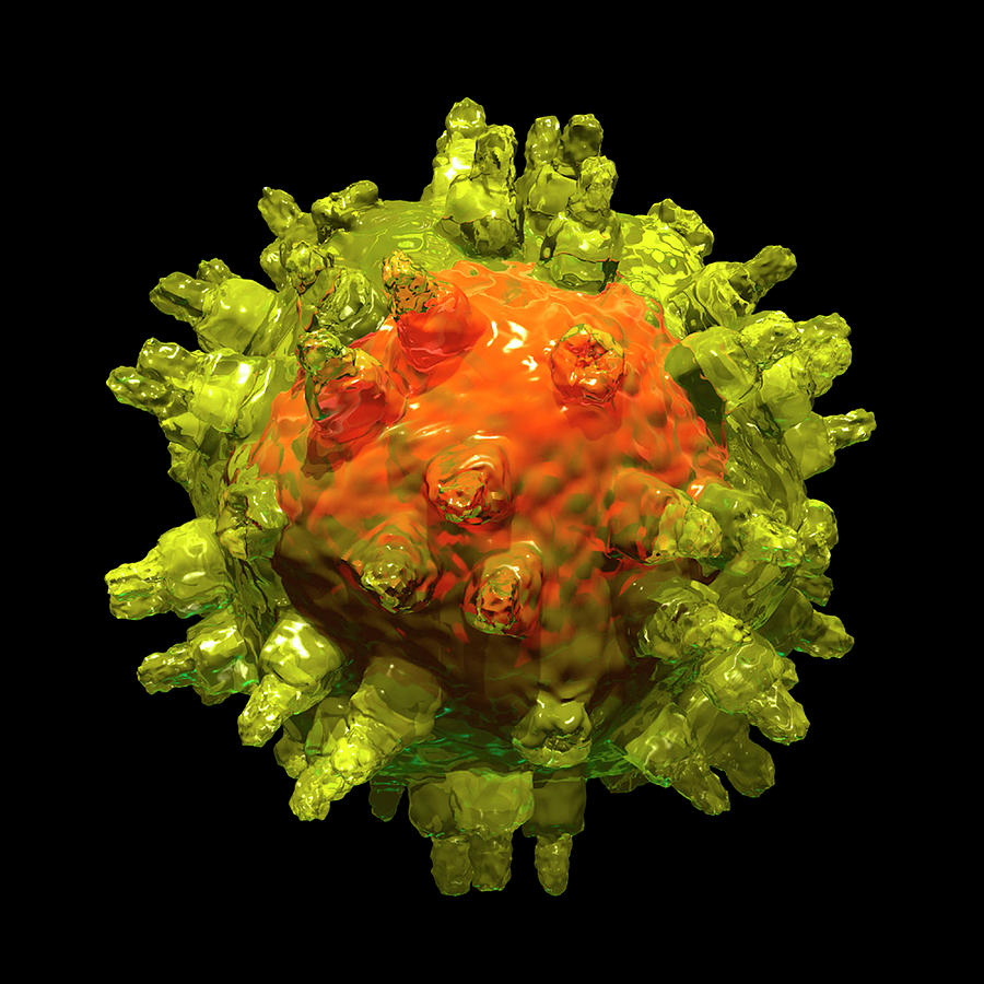 Adeno-associated Virus Photograph by Russell Kightley/science Photo Library