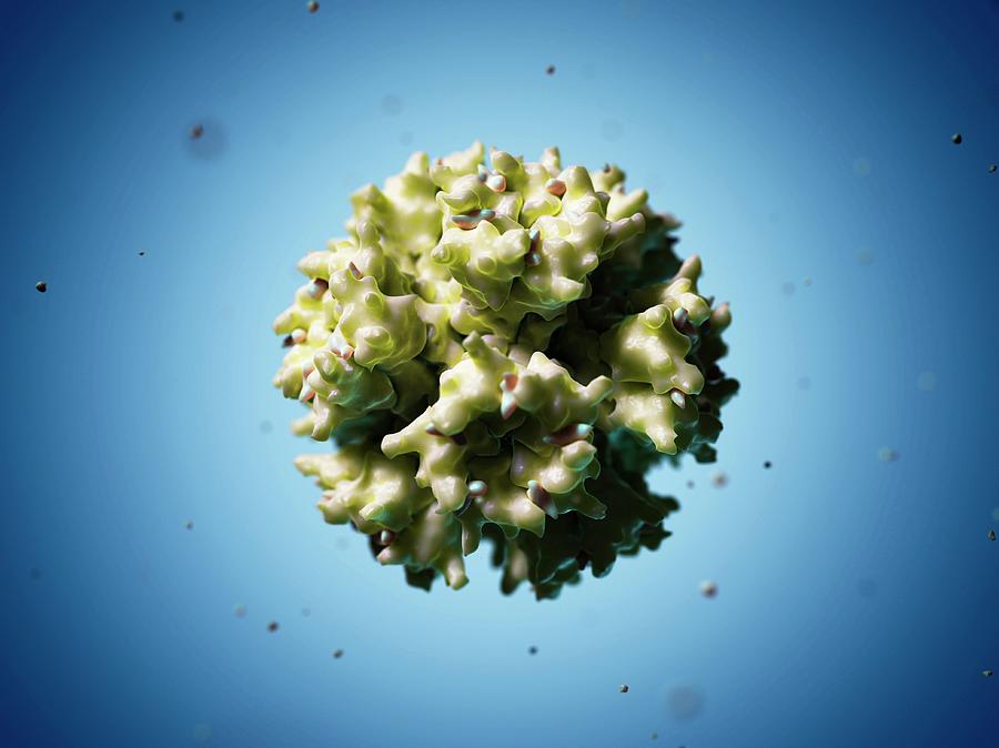 Adenovirus Particle Photograph by Sciepro/science Photo Library