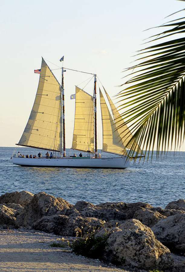 Sailing on the Adirondack in Key West Photograph by Bob Slitzan