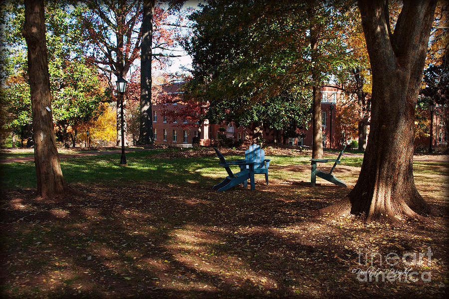 Adirondack Chairs 2 - Davidson College Photograph by Paulette B Wright