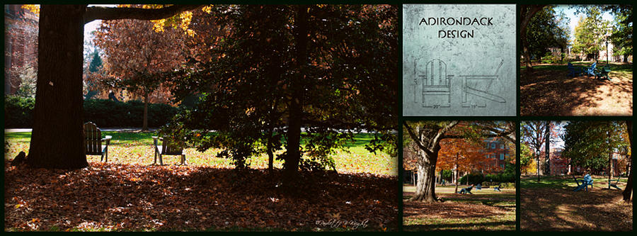 Adirondack Chairs Collage6 Photograph by Paulette B Wright