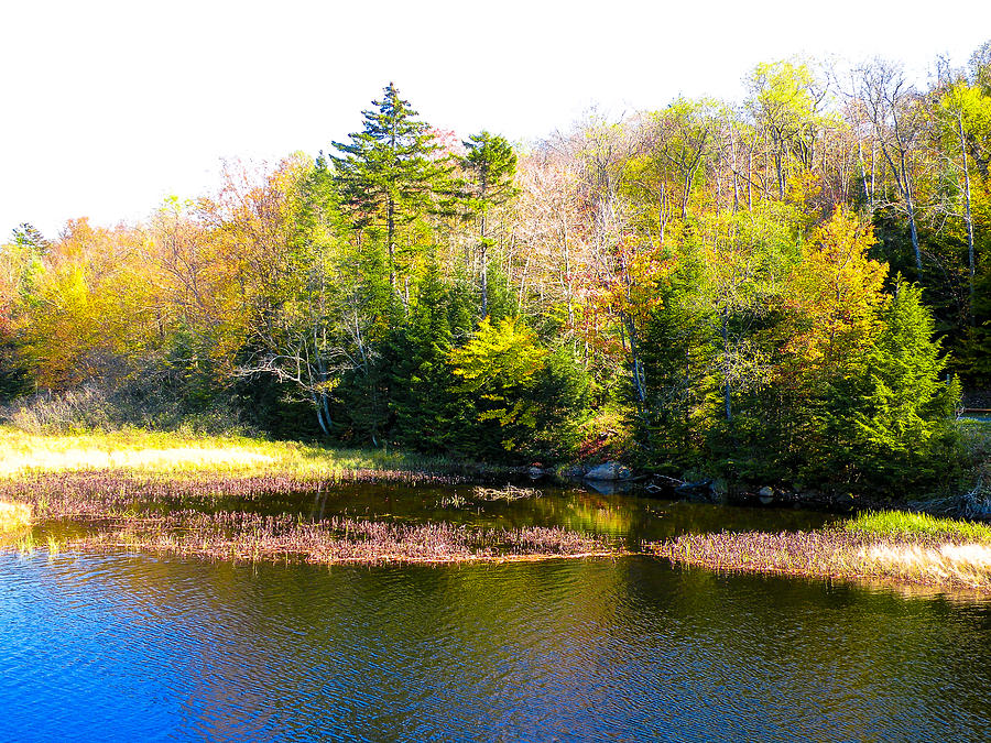 Fall Photograph - Adirondack Color X by David Patterson